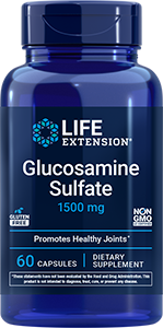 Glucosamine Sulfate, 60 capsules