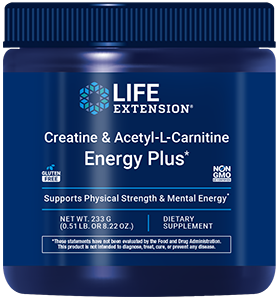 Creatine & Acetyl-L-Carnitine Energy Plus, 0.51 lb