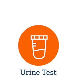 Iodine Urine w/Creatinine Ratio, 24-Hour