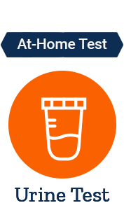 Toxic & Essential Metals Profile 24-Hour Urine Test 