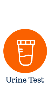 Protein and Creatinine Urine Test - Life Extension