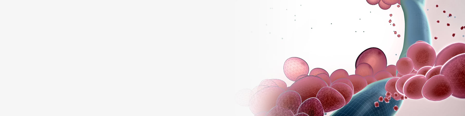 Fungal Infections - Life Extension Fungal Infections - Life Extension