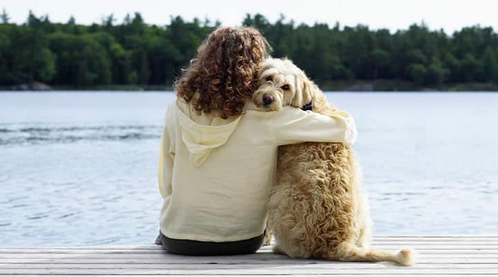 Dog Health: Optimizing Your Best Friend's Health & Longevity - Life  Extension