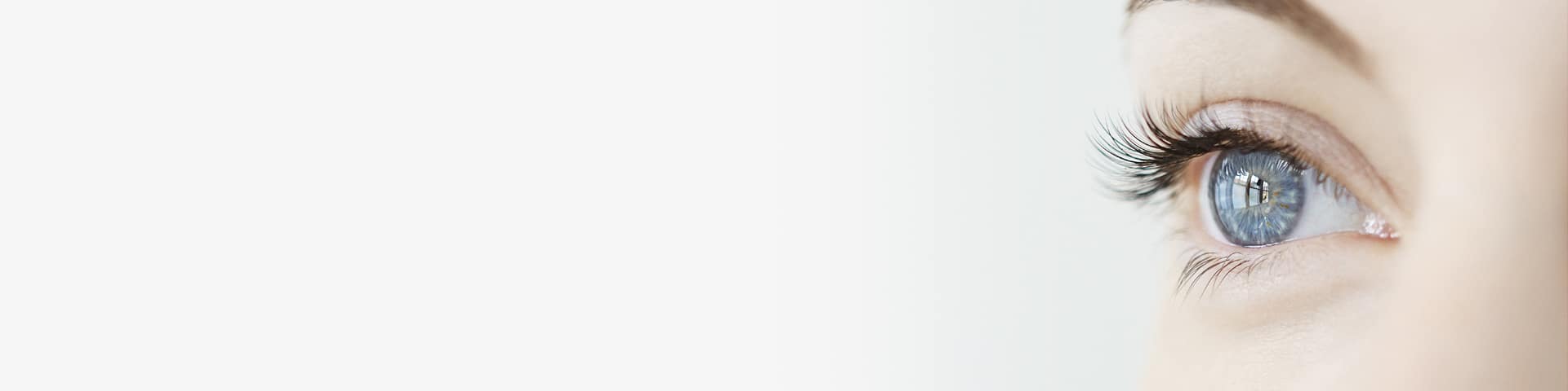 Fight cataracts, glaucoma, macular degeneration Fight cataracts, glaucoma, macular degeneration