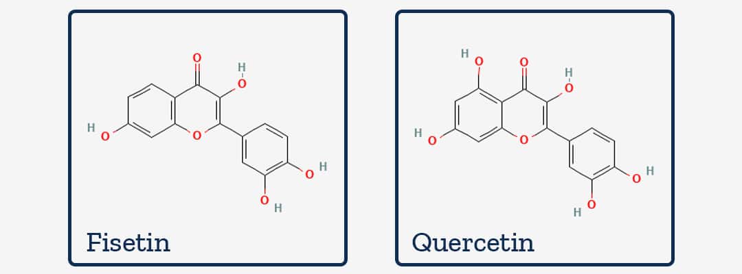 Molecular structure of quercetin and fistein