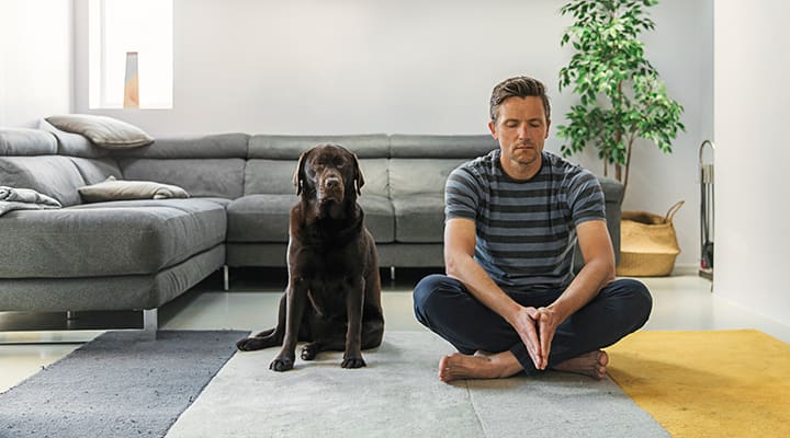 Adaptogens help you stay calm in the face of occasional stress