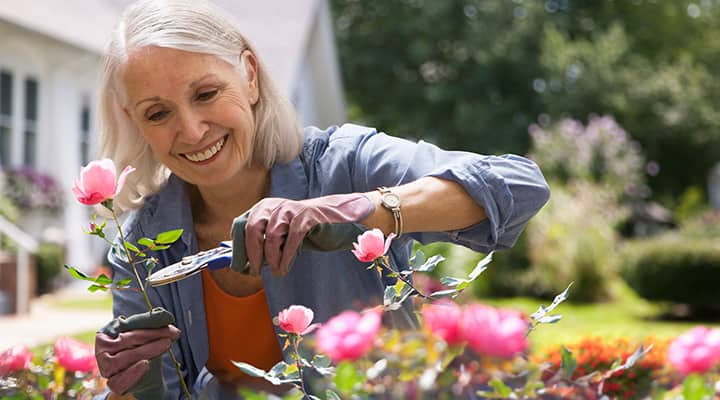 Herbal supplements help fight fatigue and that afternoon sleepiness that can make a work day drag.
