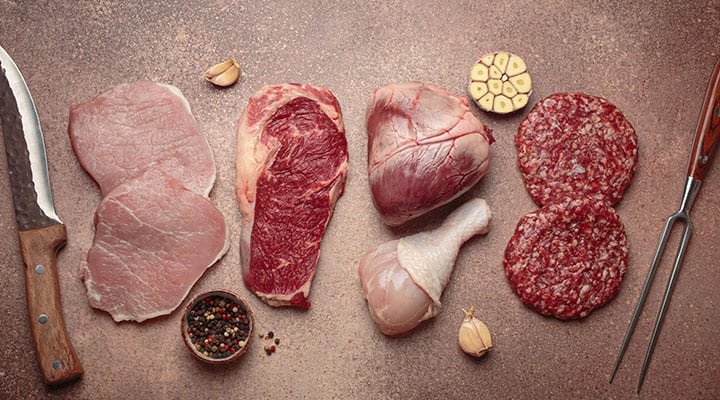 Foods in the carnivore diet