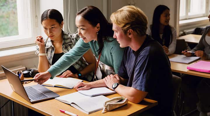 Working memory is a facet of short-term memory