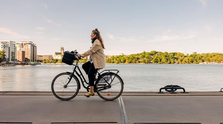 Exercise supports memory retention and brain health