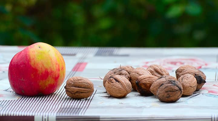 Apples and walnuts make the perfect pair in these muffins