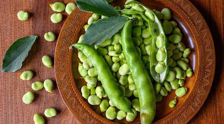 Fava beans provide vegan protein as well as vitamins and minerals