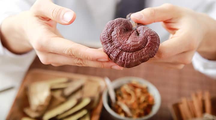 Mushroom supplements can help support your immune system