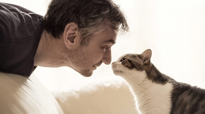 Supplements for healthy vision make eye support easy