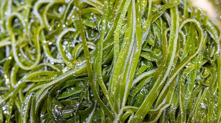Enjoy shredded fresh kelp.