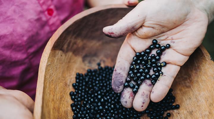 Maqui berry extract supports healthy tear production.