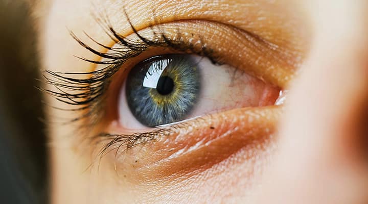 Up close of healthy eye that have vitamins and nutrients for support