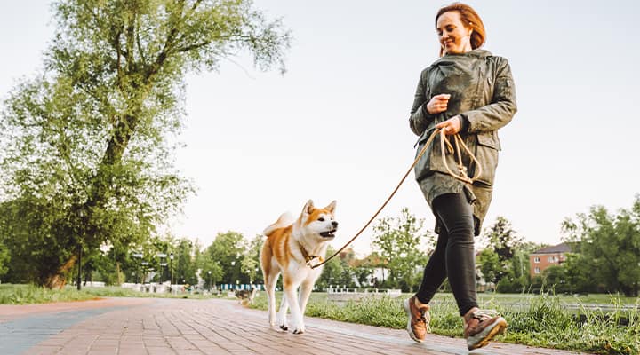 Calorie maintenance is a long-term strategy.