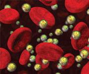 body,lipid,treatment,blood