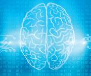 Mediterranean Diet Reduces Brain Shrinkage