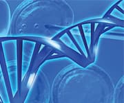 Activate Powerful Cancer Protection with Natural Nutrients