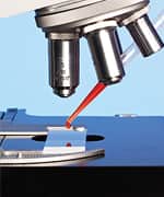 Selenium's Impact on Cancer Prevention