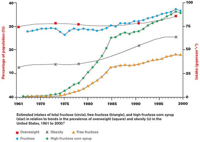 Rise in Obesity Rate Tracks Rise in Fructose Consumption