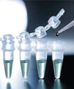 Stem cell research