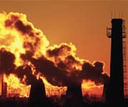 Environmental Toxins: An Unfortunate Fact Of Life