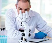 Aflatoxin: Nature’s Own Deadly Toxin