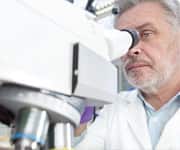 Low Zinc Levels In Prostate Cancer Cells