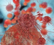 The Importance Of Zinc In Prostate Health