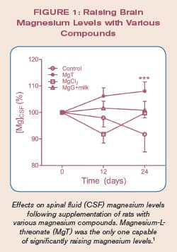 Ra ising Brain
Magnesium Levels with Various Compounds