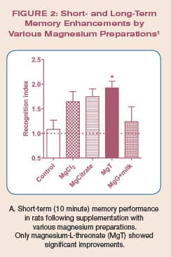 Short- and Long-Term Memory Enhancements by Various Magnesium Preparations