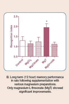 Short- and Long-Term Memory Enhancements by Various Magnesium Preparations