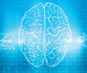 Mediterranean Diet Reduces Brain Shrinkage