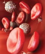 SIDEBAR IMAGE ALT TEXT