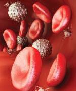 SIDEBAR IMAGE ALT TEXT