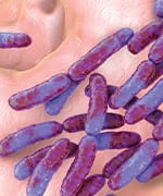 Microscopic view of a vaginal microbiome