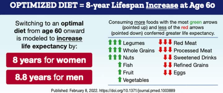An optimized diet equals 8-year Lifespan Increase at Age 60