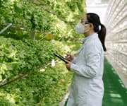Scientist analyzing plants for their quercetin