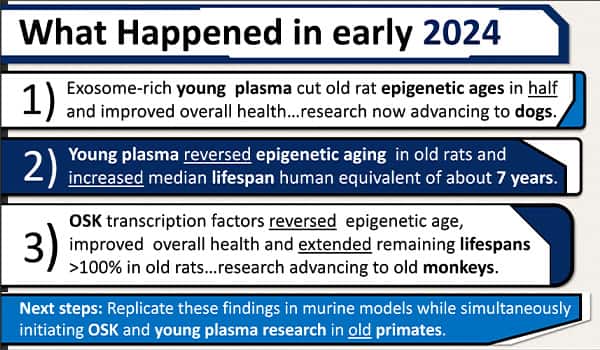 What happened in early 2024