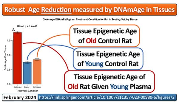 Robust age reduction measured by DNAmAge in tissues