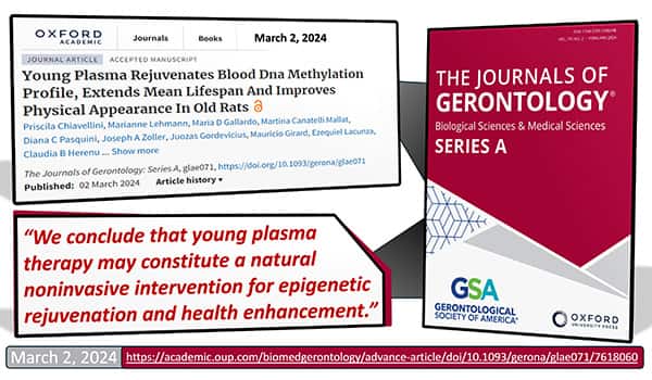 What happened in early 2024