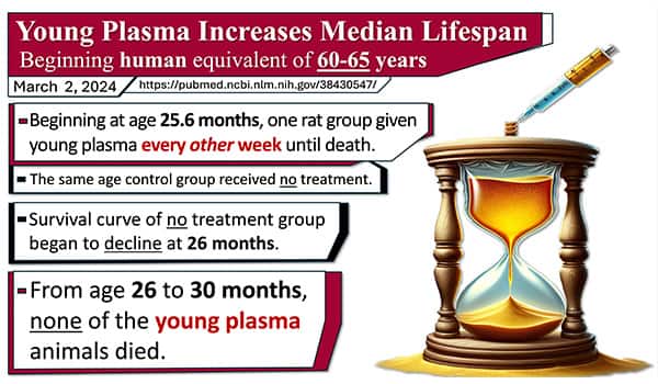Young plasma increases median lifespan