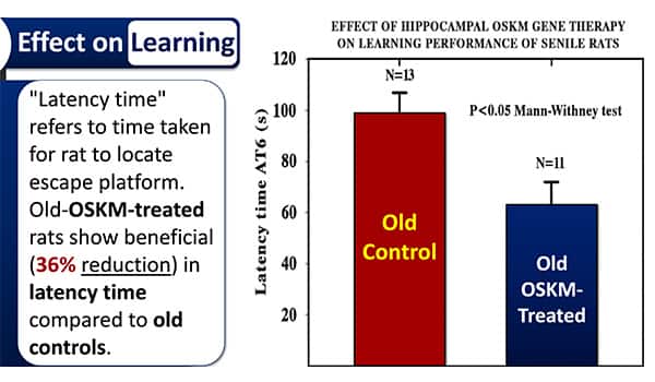 Effect of hippocampal oskm gene therapy