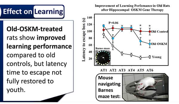 Improvement of learning performance on old rats