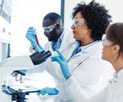 White button mushrooms slow prostate growth