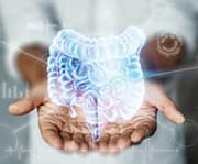 Harmful microbes effect gastrointestinal health