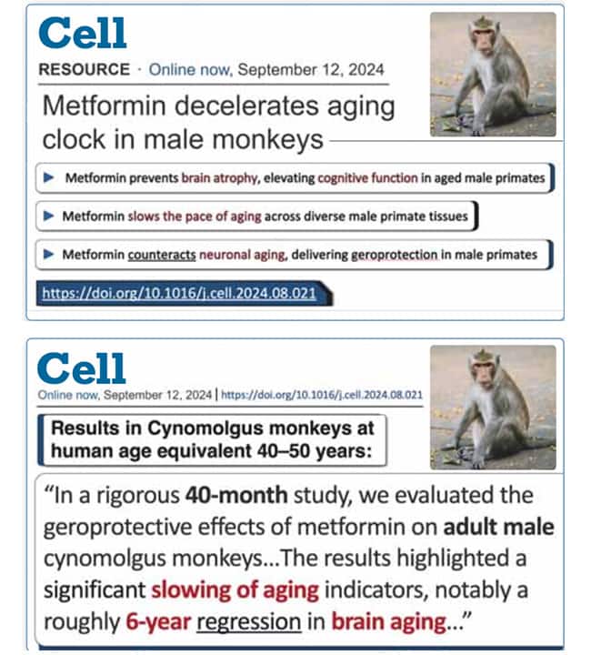 Metafromin decelerates aging